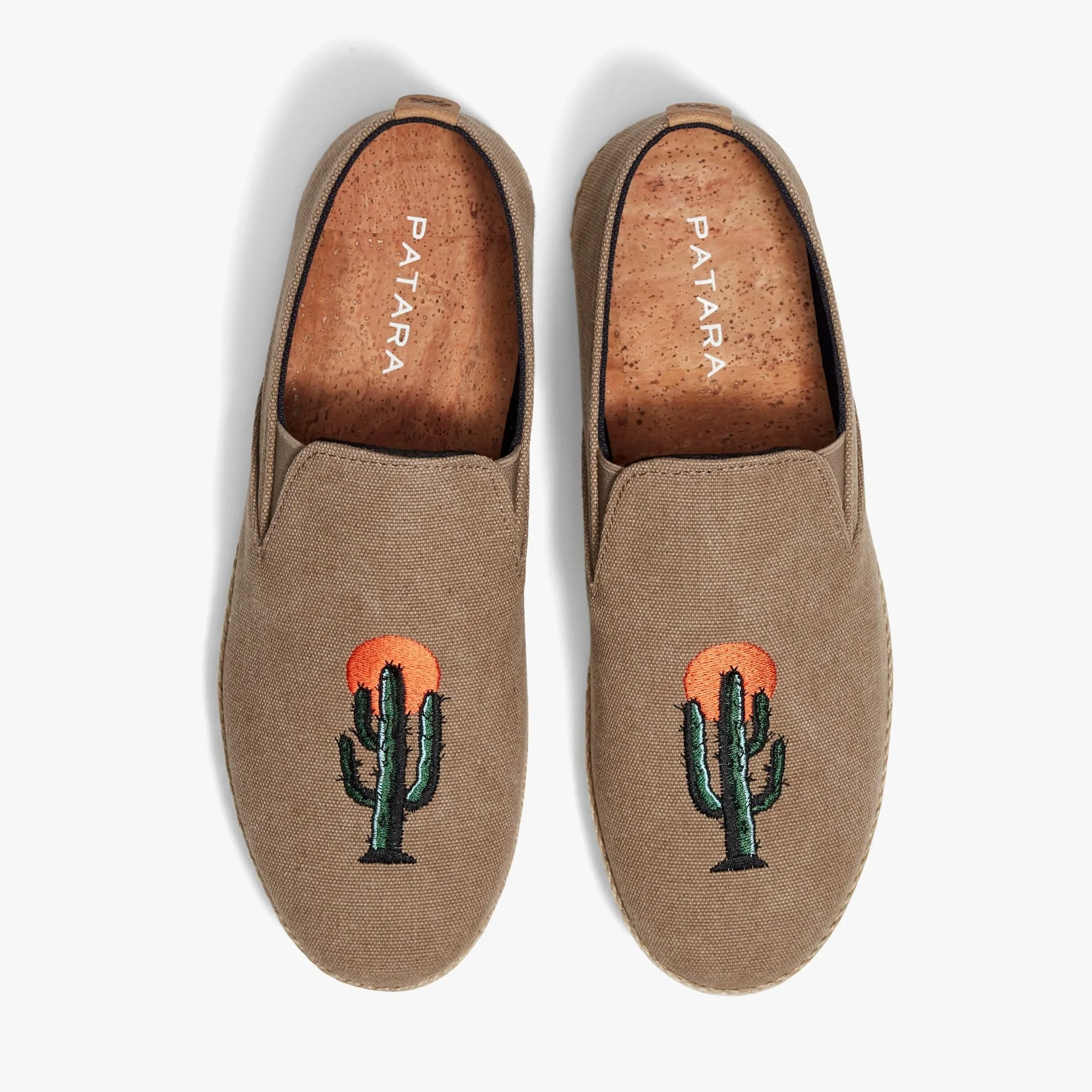 Cactus Seeker